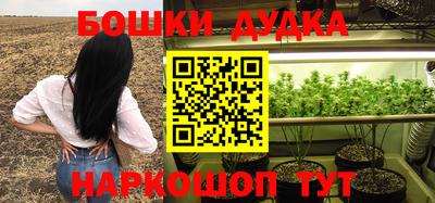 ECSTASY Заводоуковск