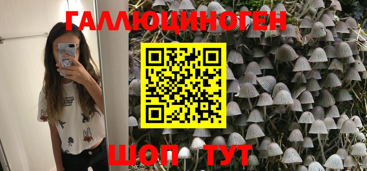 купить закладку  Псилоцибиновые грибы мицелий  Вход с VPN  Лыткарино 