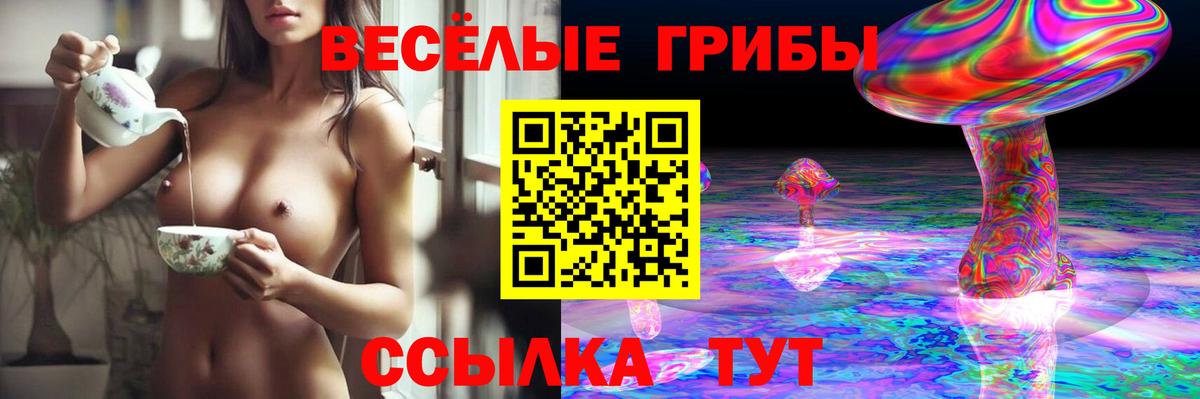 Псилоцибиновые грибы Psilocybe Лыткарино